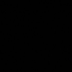 Meet your Posher, Ernesto